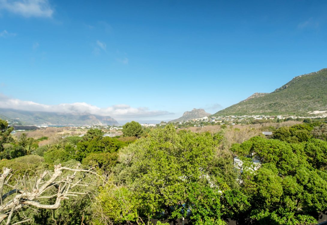 imgi_18_Rivendell-8-Luisa-Way-Hout-Bay-Rental-27-1090×750